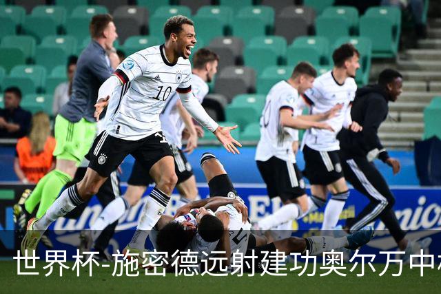 世界杯-施密德远射建功奥尔万中框 半场奥地利1-0约旦