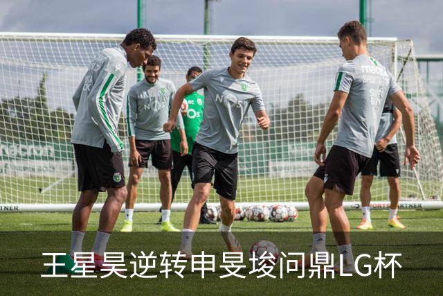 王星昊逆转申旻埈问鼎LG杯